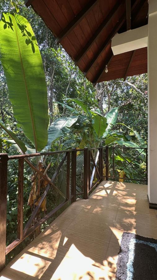 Dosemo Cabana Induruwa Exteriör bild